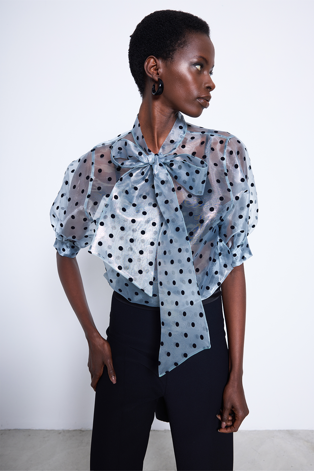 Point Blouse