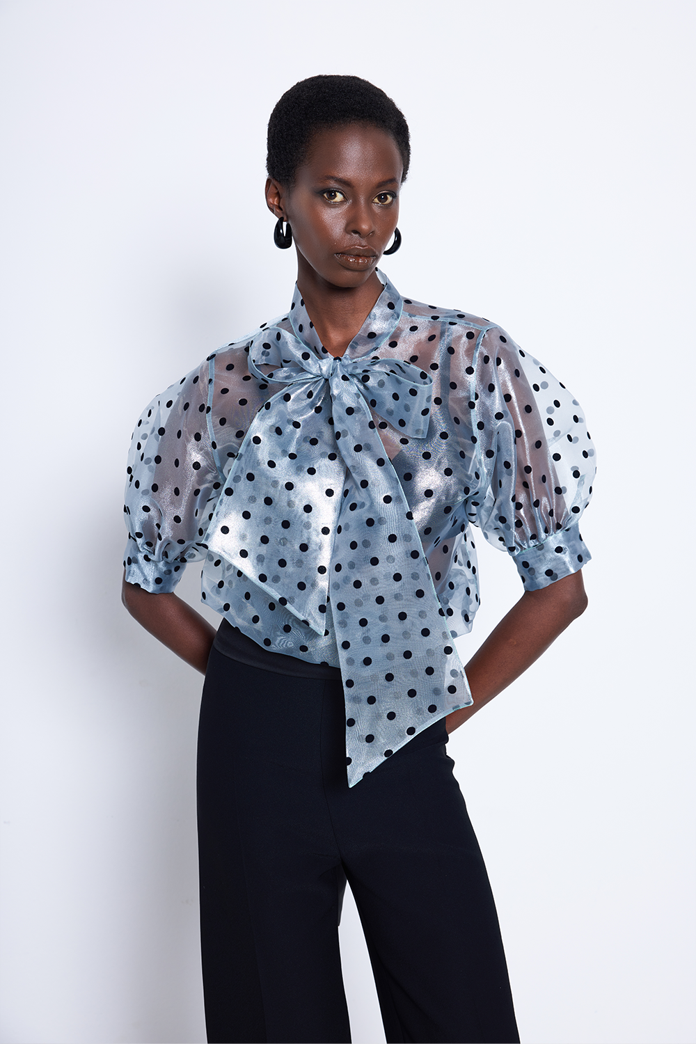 Point Blouse