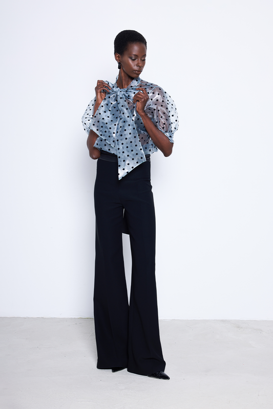 Point Blouse